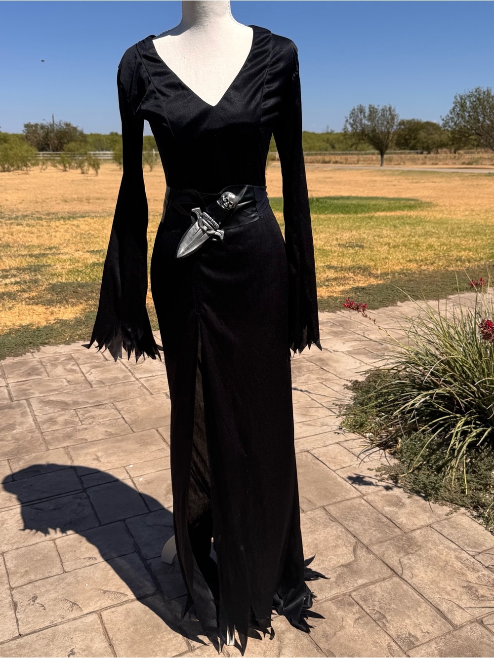 Elvira Halloween Costume with wig! Original Packaging; never worn!!